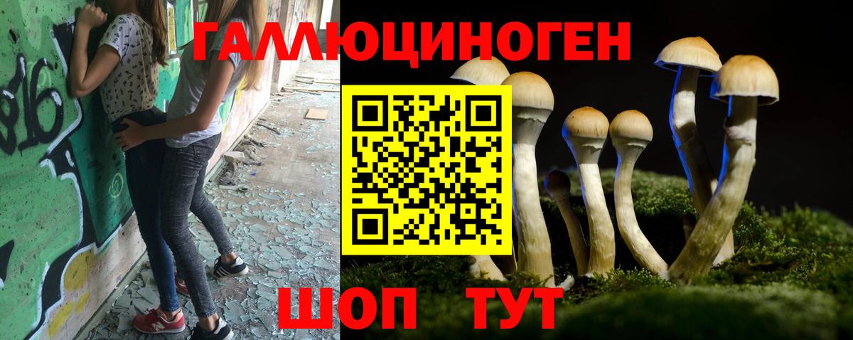 Псилоцибиновые грибы Psilocybine cubensis Ессентуки